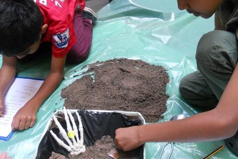 Children investigating bones in a dig box