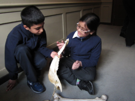 Children looking at a fake bone