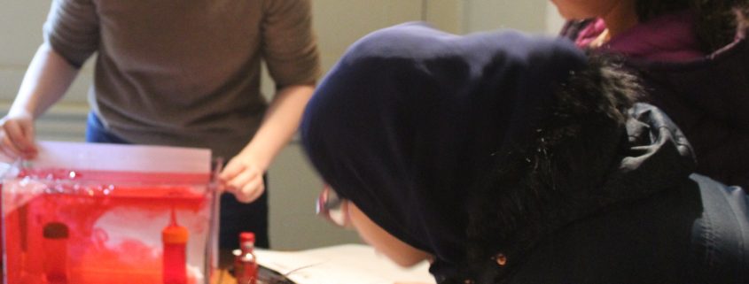 Children watching science experiment with tank full of red dye